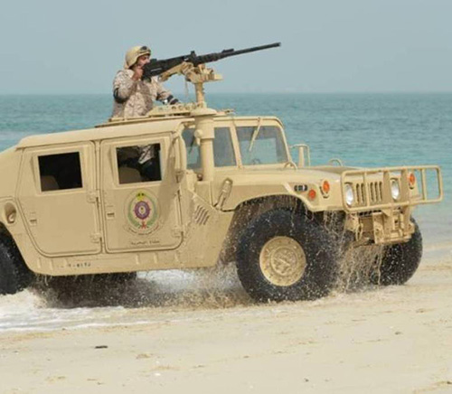 23 Countries Join Gulf Shield 1 Drills in Saudi Arabia